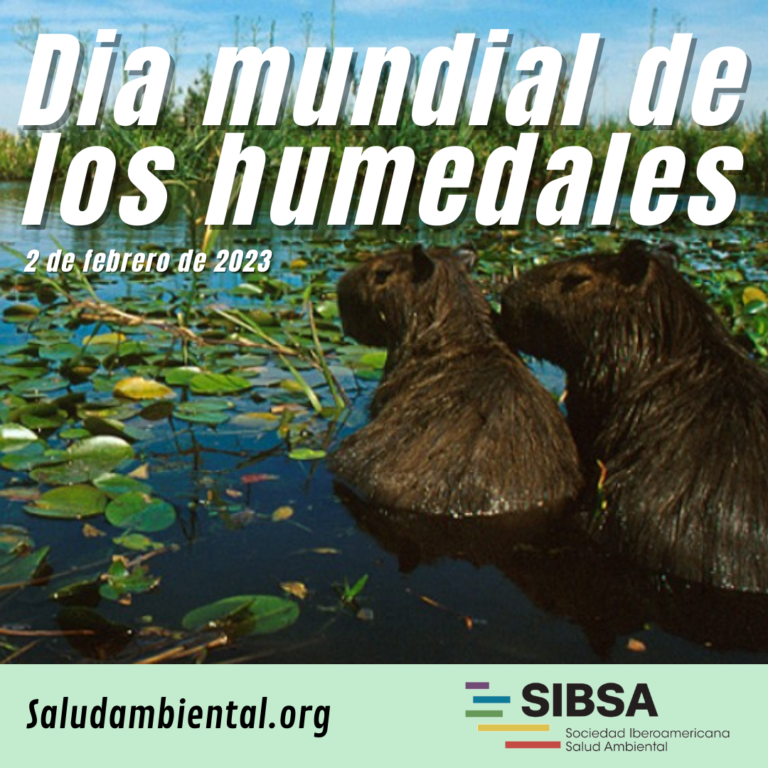 D A Mundial De Los Humedales